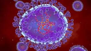 HMPV Virus