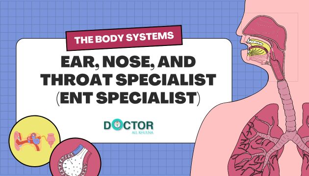 Ear, Nose, Throat Specialist & Surgeon